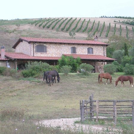 Casale Farnesiana B&B Tarquinia Ngoại thất bức ảnh