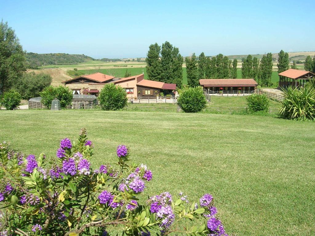 Casale Farnesiana B&B Tarquinia Ngoại thất bức ảnh