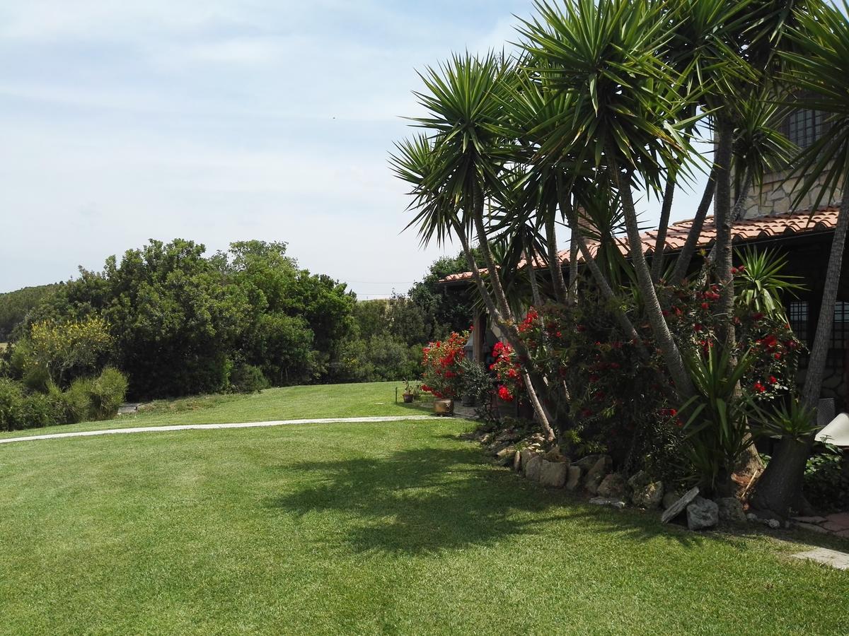 Casale Farnesiana B&B Tarquinia Ngoại thất bức ảnh
